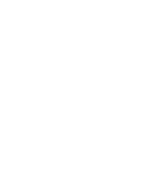 logo amp